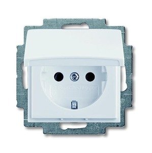 Фото ABB Basic55 2CKA002018A0350 Розетка с заземляющим контактом (16 А, крышка, под рамку, скрытая установка, альпийский белый)