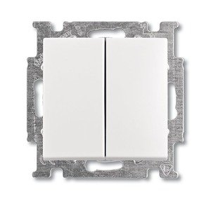 Фото ABB Basic55 2CKA001012A2141 Выключатель двухклавишный (10 А, под рамку, скрытая установка, альпийский белый)