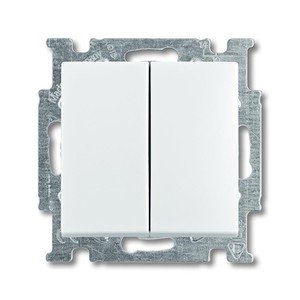Фото ABB Basic55 2CKA001012A2144 Переключатель двухклавишный (10 А, под рамку, скрытая установка, альпийский белый)