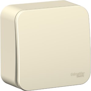 Фото Schneider Electric Blanca BLNVA061002 Выключатель одноклавишный (6 А, в сборе, открытая установка, молоко)