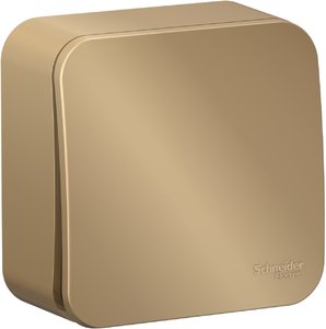 Фото Schneider Electric Blanca BLNVA106014 Переключатель одноклавишный с изолирующей пластиной (10 А, в сборе, открытая установка, титан)