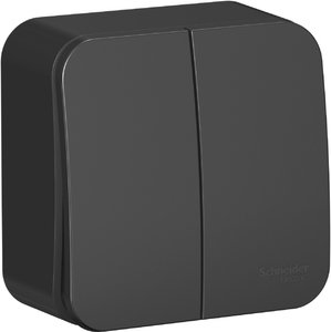 Фото Schneider Electric Blanca BLNVA105016 Выключатель двухклавишный с изолирующей пластиной (10 А, в сборе, открытая установка, антрацит)