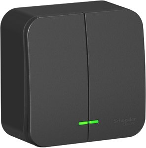 Фото Schneider Electric Blanca BLNVA105116 Выключатель двухклавишный с подсветкой и изолирующей пластиной (10 А, в сборе, открытая установка, антрацит)