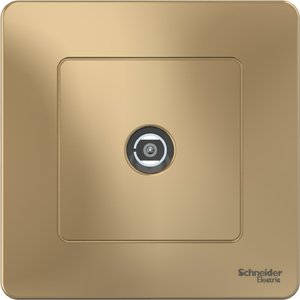 Фото Schneider Electric Blanca BLNTS000014 Розетка телевизионная (TV, в сборе, скрытая установка, титан)