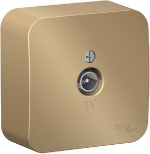 Фото Schneider Electric Blanca BLNTA000014 Розетка телевизионная (TV, в сборе, открытая установка, титан)