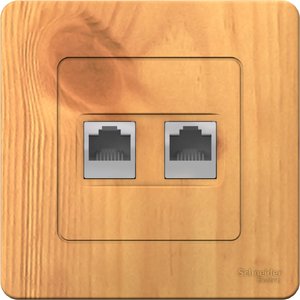 Фото Schneider Electric Blanca BLNIS045455 Розетка компьютерная (2xRJ45, в сборе, скрытая установка, ясень)