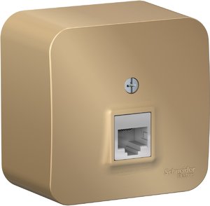 Фото Schneider Electric Blanca BLNIA011004 Розетка телефонная (RJ11, в сборе, открытая установка, титан)