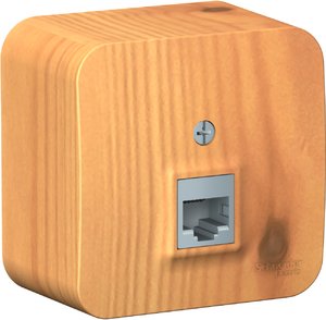 Фото Schneider Electric Blanca BLNIA011005 Розетка телефонная (RJ11, в сборе, открытая установка, ясень)