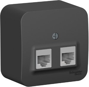 Фото Schneider Electric Blanca BLNIA045456 Розетка компьютерная (2xRJ45, в сборе, открытая установка, антрацит)