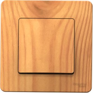 Фото Schneider Electric Blanca BLNVS010105 Выключатель одноклавишный (10 А, в сборе, скрытая установка, ясень)