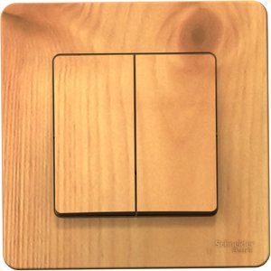 Фото Schneider Electric Blanca BLNVS010505 Выключатель двухклавишный (10 А, в сборе, скрытая установка, ясень)
