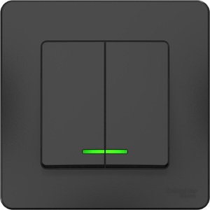 Фото Schneider Electric Blanca BLNVS010516 Выключатель двухклавишный (10 А, в сборе, подсветка, скрытая установка, антрацит)
