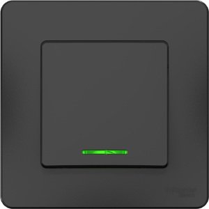 Фото Schneider Electric Blanca BLNVS010616 Переключатель одноклавишный (10 А, в сборе, подсветка, скрытая установка, антрацит)