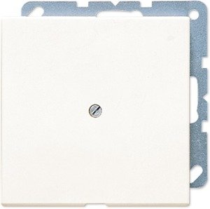 Фото Jung LS990 LS990A Вывод кабеля (под рамку, скрытая установка, слоновая кость)