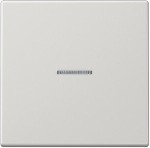Фото Jung LS990 LS990KO5LG Клавиша одиночная с линзой (светло-серая)