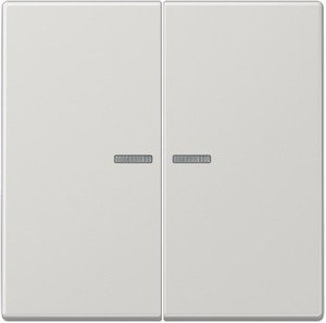 Фото Jung LS990 LS995KO5LG Клавиша двойная с линзой (светло-серая)
