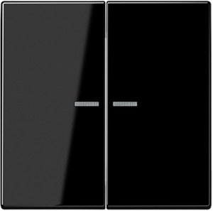 Фото Jung LS990 LS995KO5SW Клавиша двойная с линзой (черная)