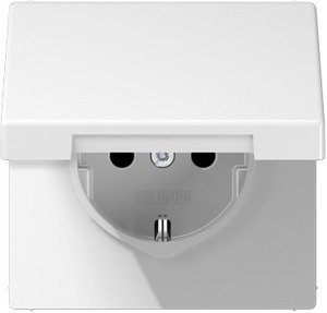 Фото Jung LS990 LS520KLWW Розетка с заземляющим контактом (16 А, под рамку, крышка, скрытая установка, белая)