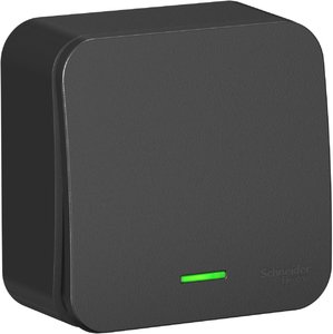Фото Schneider Electric Blanca BLNVA106116 Переключатель одноклавишный с изолирующей пластиной (10 А, в сборе, подсветка, открытая установка, антрацит)