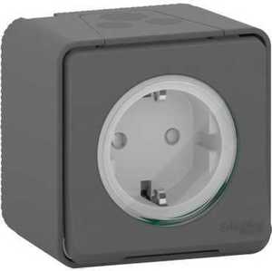 Фото Schneider Electric Mureva S MUR36034 Розетка одинарная с заземляющим контактом (16 А, IP55, в сборе, шторки, открытая установка, антрацит)