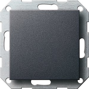 Фото Gira System55 026828 Заглушка (под рамку, скрытая установка, антрацит)