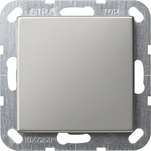Фото Gira System55 0268600 Заглушка (под рамку, скрытая установка, сталь)
