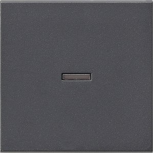 Фото Gira System55 029028 Клавиша одиночная с линзой (антрацит)