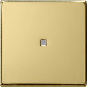 Фото Gira System55 0290604 Клавиша одиночная с линзой (латунь)