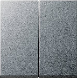 Фото Gira System55 029526 Клавиша двойная (алюминий)