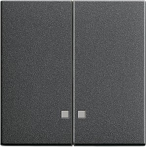 Фото Gira System55 063128 Клавиша двойная с линзой (антрацит)