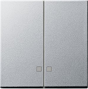 Фото Gira System55 063126 Клавиша двойная с линзой (алюминий)