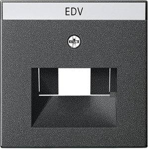 Фото Gira System55 028428 Крышка розетки информационной (RJ11/RJ45, UAE/IAE, надпись, антрацит)