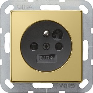 Фото Gira System55 0188604 Розетка с заземляющим контактом (16 А, под рамку, скрытая установка, латунь-антрацит)