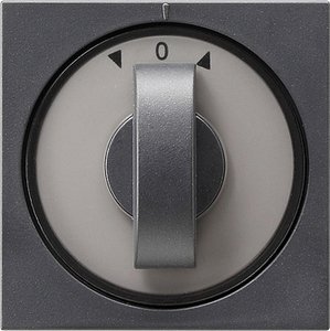 Фото Gira System55 066628 Крышка для поворотного выключателя и таймера (антрацит)