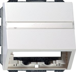 Фото Gira System55 087027 Крышка розетки с опорной пластиной (RJ45+RJ11, надпись, белая матовая)