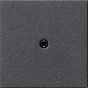 Фото Gira System55 027428 Крышка для вывода кабеля (антрацит)