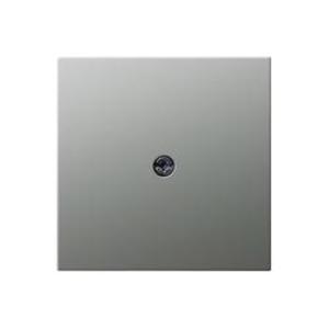Фото Gira System55 0274600 Крышка для вывода кабеля (сталь)
