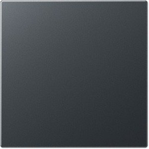 Фото Jung A500 A594-0PLANM Заглушка (под рамку, скрытая установка, матовый антрацит)