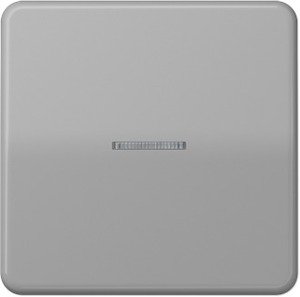 Фото Jung CD500 CD590KO5GR Клавиша одиночная c линзой (серая)