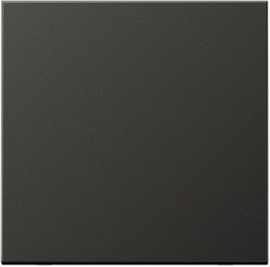 Фото Jung LS metal AL2990AN Клавиша одиночная (антрацит)