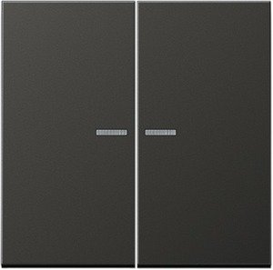 Фото Jung LS metal AL2995KO5AN Клавиша двойная с линзой (антрацит)