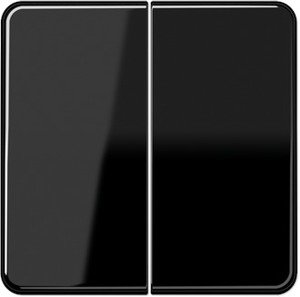 Фото Jung CD500 CD595SW Клавиша двойная (черная)