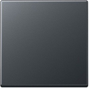 Фото Jung A500 A590BFANM Клавиша одиночная (матовый антрацит)