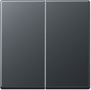 Фото Jung A500 A595BFANM Клавиша двойная (матовый антрацит)