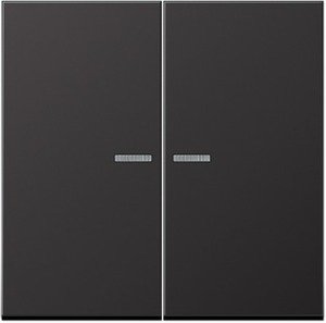 Фото Jung LS metal AL2995KO5D Клавиша двойная с линзой (dark)