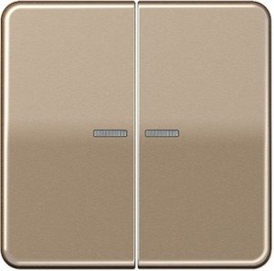 Фото Jung CD500 CD595KO5GB Клавиша двойная с линзой (золотая бронза)