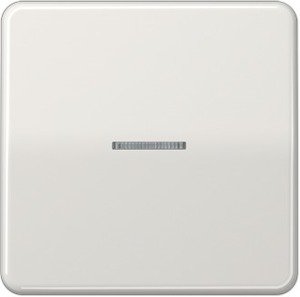 Фото Jung CD500 CD590KO5LG Клавиша одиночная c линзой (светло-серая)