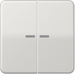 Фото Jung CD500 CD595KO5LG Клавиша двойная с линзой (светло-серая)