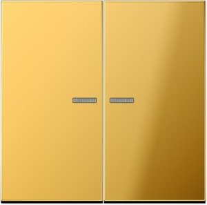 Фото Jung LS990 GO2995KO5 Клавиша двойная с линзой (имитация золота)