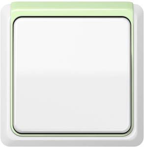 Фото Jung CD plus CDP82LGN Декоративный элемент (салатовый)